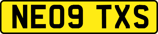 NE09TXS