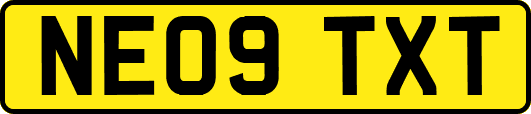 NE09TXT
