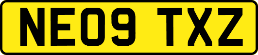 NE09TXZ