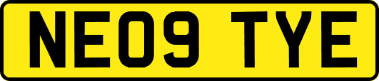 NE09TYE