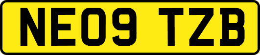 NE09TZB