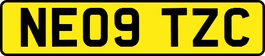 NE09TZC