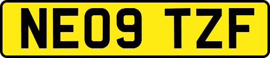 NE09TZF