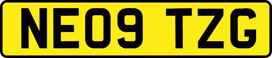 NE09TZG