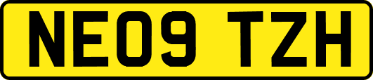 NE09TZH