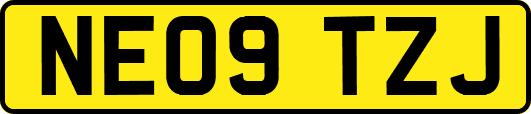 NE09TZJ