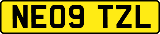 NE09TZL