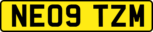 NE09TZM