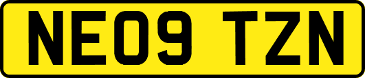 NE09TZN