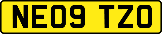 NE09TZO