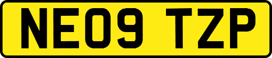 NE09TZP