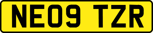 NE09TZR
