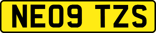 NE09TZS