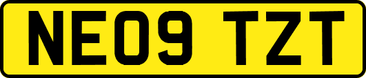 NE09TZT