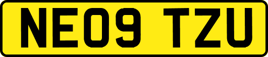 NE09TZU