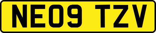 NE09TZV