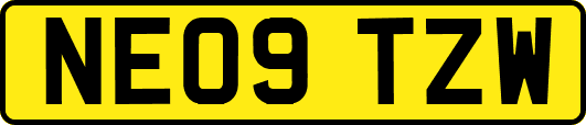 NE09TZW
