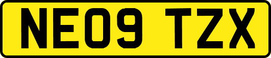 NE09TZX
