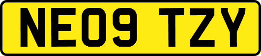 NE09TZY