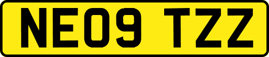 NE09TZZ