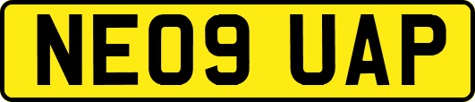 NE09UAP