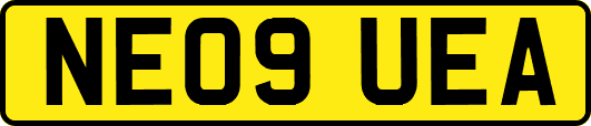 NE09UEA
