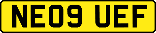 NE09UEF