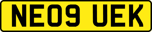 NE09UEK