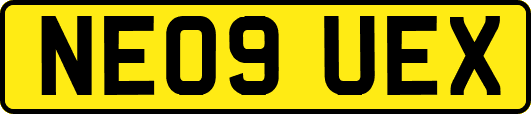 NE09UEX