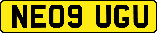 NE09UGU