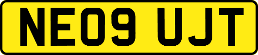 NE09UJT