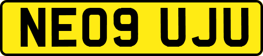 NE09UJU