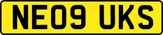 NE09UKS
