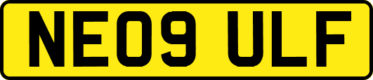 NE09ULF