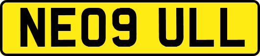 NE09ULL