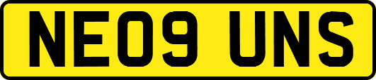 NE09UNS