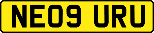 NE09URU