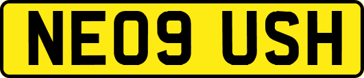 NE09USH