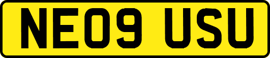 NE09USU