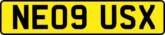 NE09USX