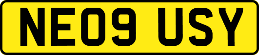 NE09USY