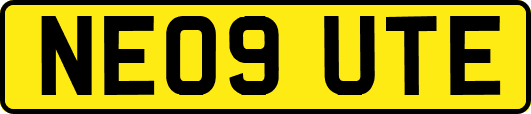 NE09UTE