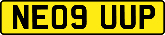 NE09UUP