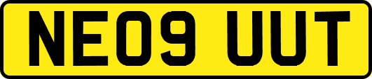 NE09UUT