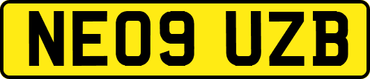 NE09UZB