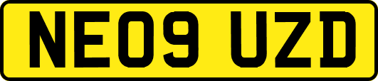 NE09UZD