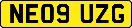 NE09UZG