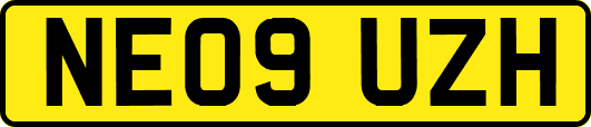 NE09UZH