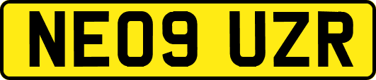 NE09UZR