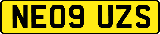 NE09UZS